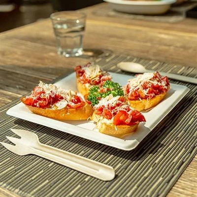 Bagasse Tek Kullanımlık Tabak